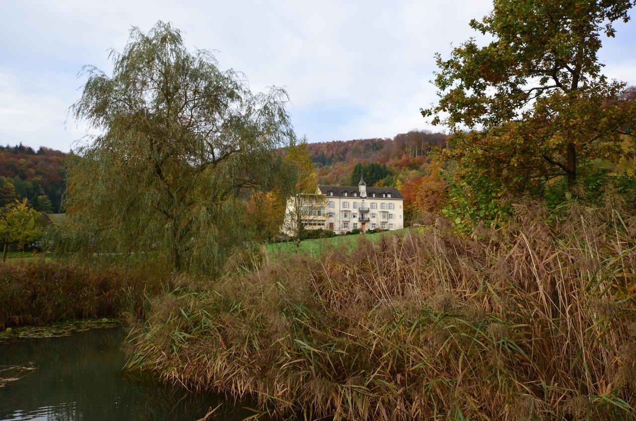 Bad Schauenburg Hotel Liestal Exterior photo